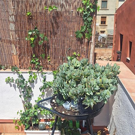 شقة El Terrat De La Tecla - Duplex Casc Antic تاراغونا المظهر الخارجي الصورة