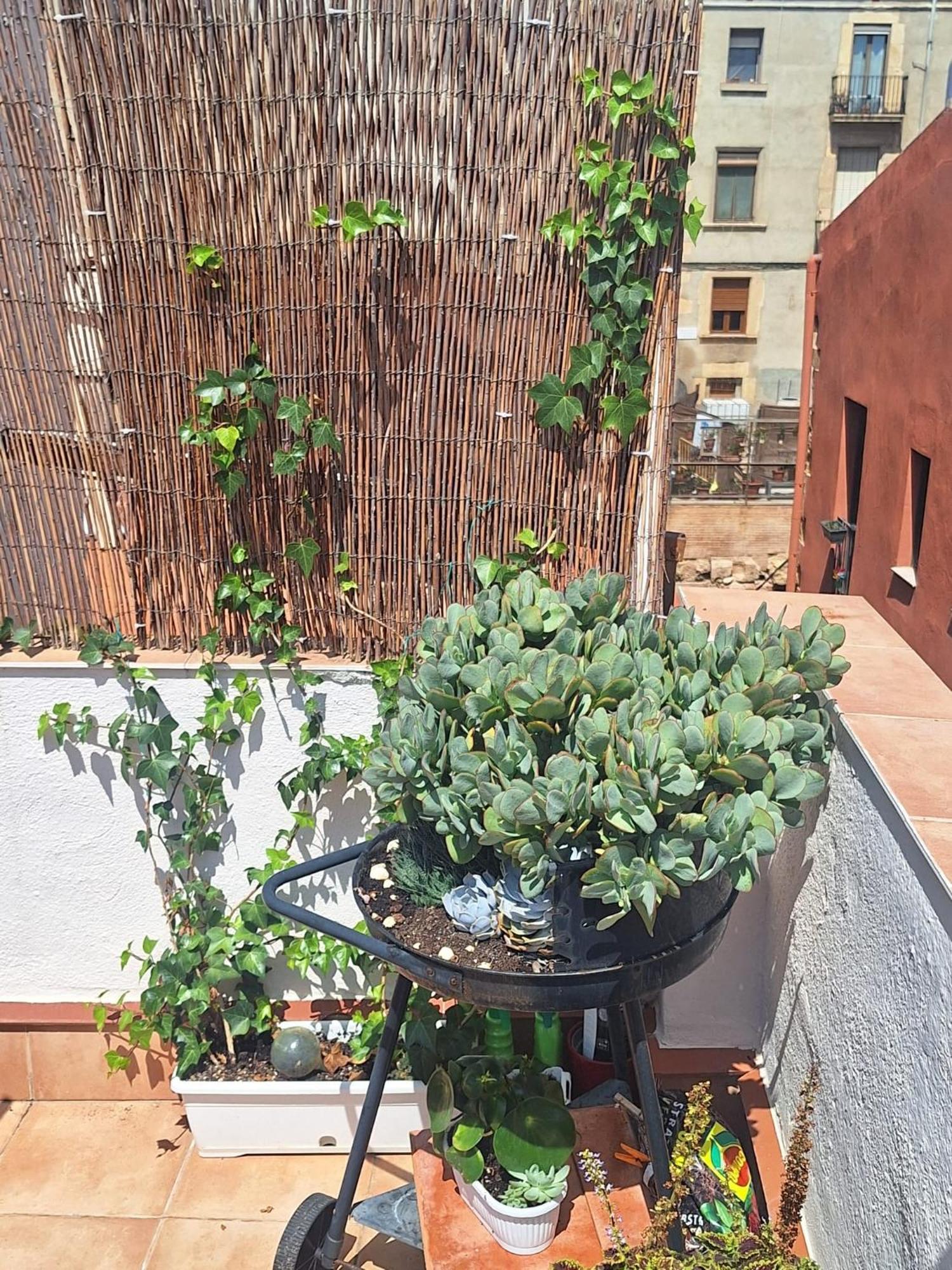 شقة El Terrat De La Tecla - Duplex Casc Antic تاراغونا المظهر الخارجي الصورة